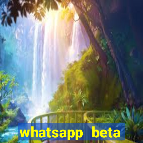 whatsapp beta mirror apk